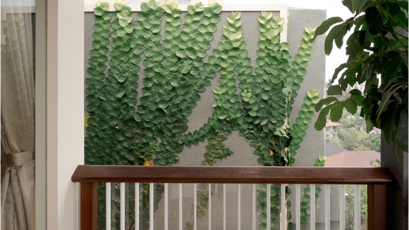 DAGO - 10